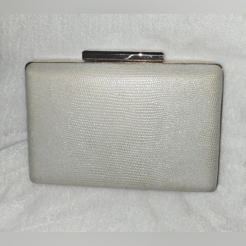 Colette Hayman Faux Snake Skin with Gold Trim Clutch Handbag